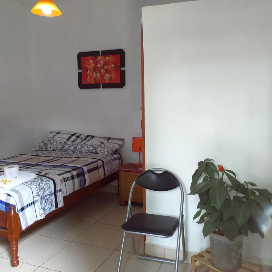 Backpacker Kitara House Hotel Tarapoto Luaran gambar