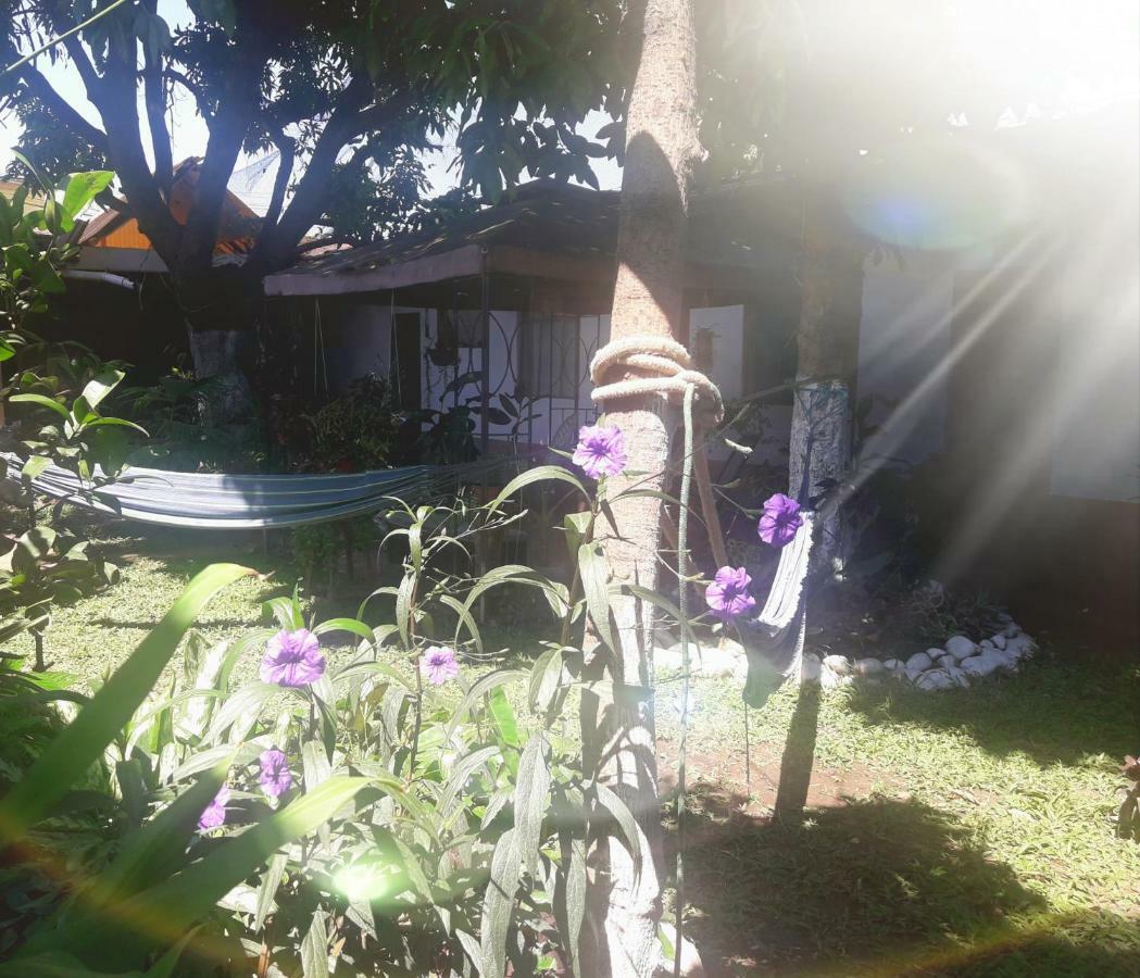 Backpacker Kitara House Hotel Tarapoto Luaran gambar