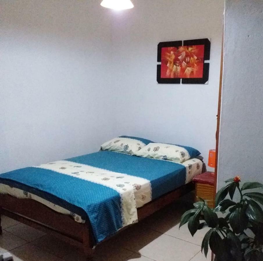 Backpacker Kitara House Hotel Tarapoto Luaran gambar